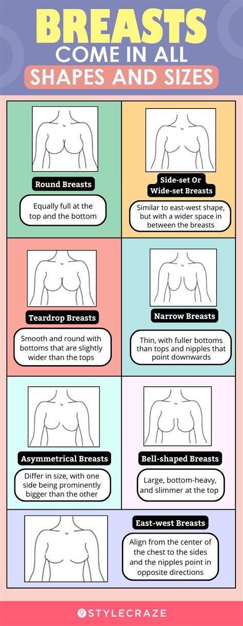 Breast Shapes and Sizes: Everything You Need to Know